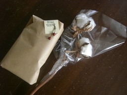 f0132619_204156100.jpg