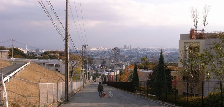 f0100920_21133085.jpg
