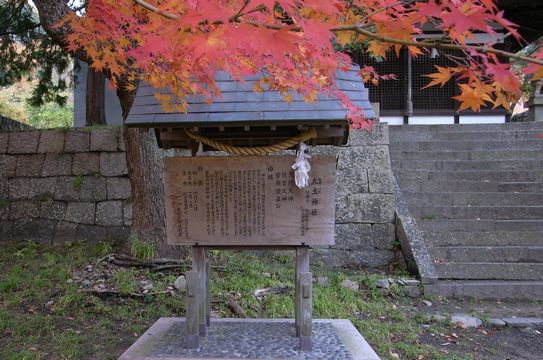 f0100920_2114618.jpg
