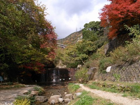 f0100920_2125613.jpg