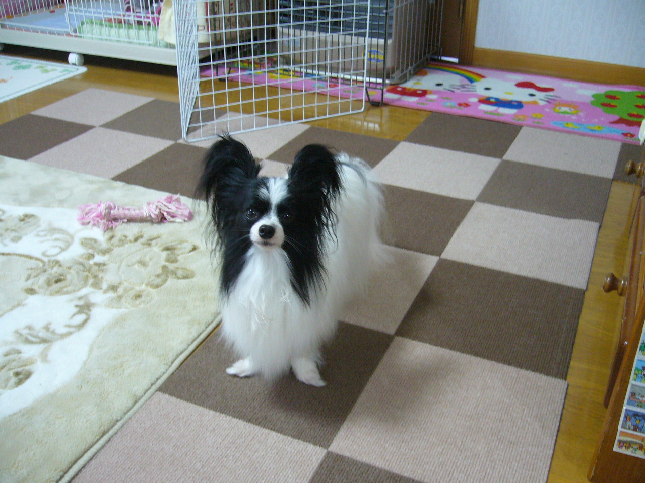 f0135021_17254019.jpg