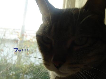 c0156328_9222157.jpg