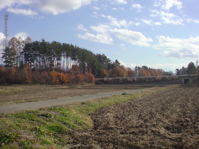 e0016828_225624100.jpg