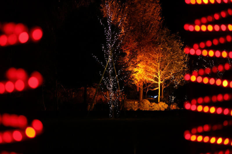 f0017530_21261572.jpg