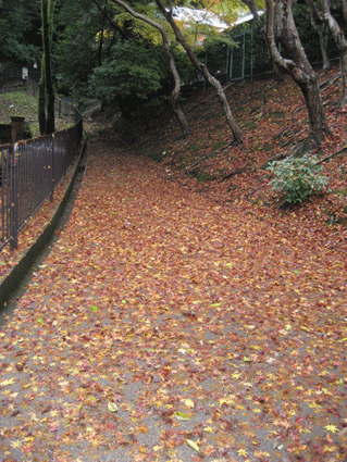 d0048332_10393920.gif