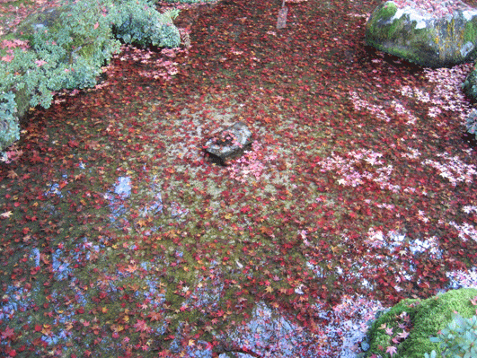 d0048332_1040219.gif