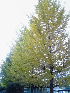 f0028132_119320.jpg