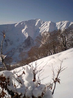 f0118332_1551737.jpg