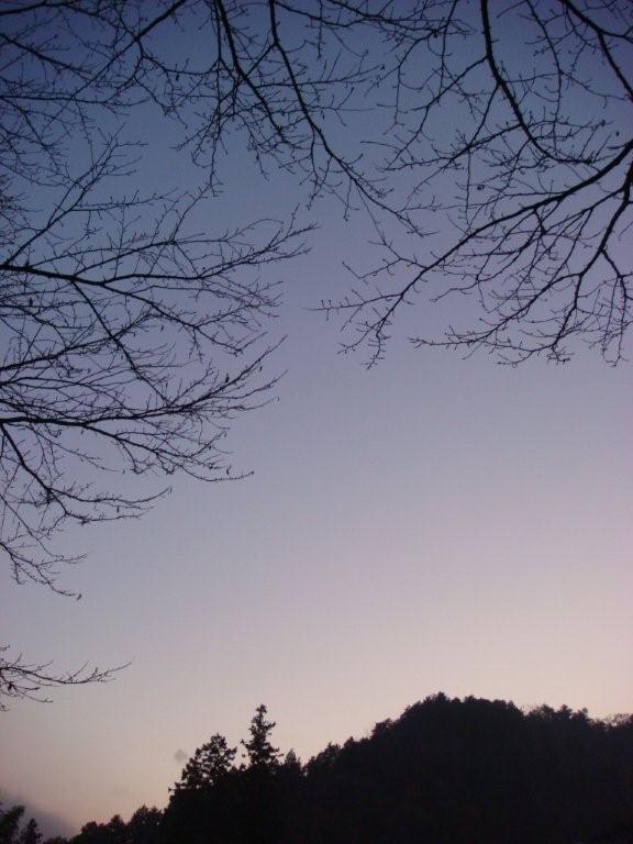 e0165434_2311153.jpg