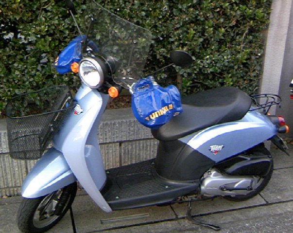 e0026541_1851430.jpg