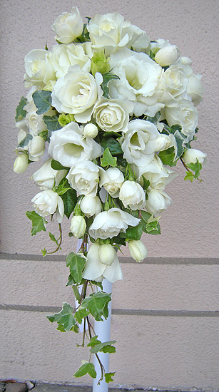 a0001354_2173140.jpg