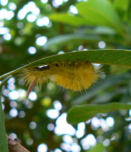 d0091754_2282231.jpg