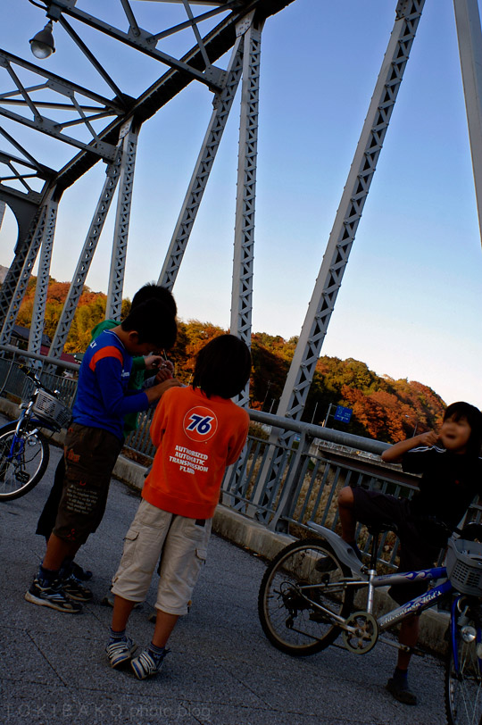 d0100156_2084277.jpg