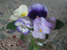 d0034659_13183621.jpg