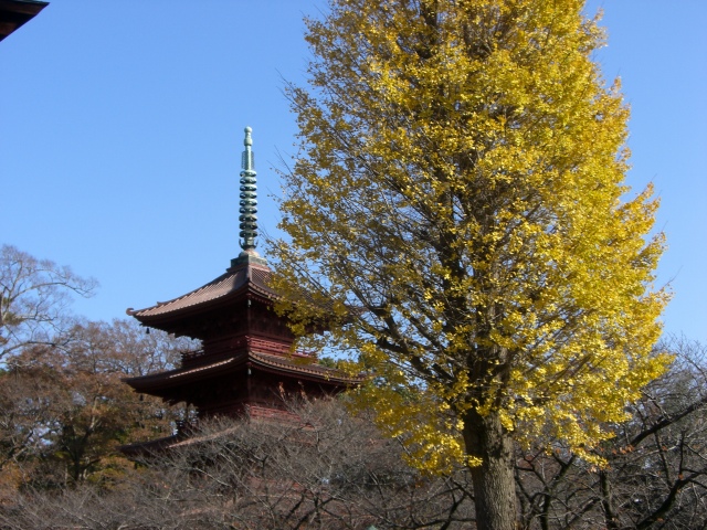 f0000262_1175792.jpg