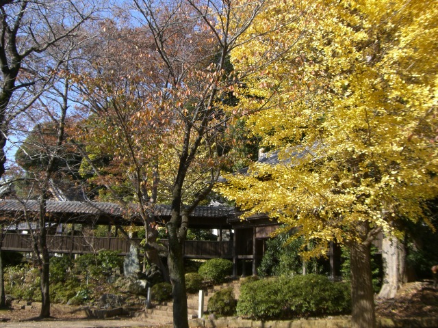 f0000262_2351147.jpg