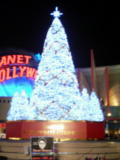 c0004466_22453465.jpg