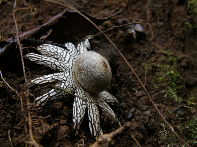 c0042869_22574737.jpg