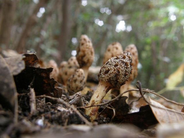 c0042869_22591224.jpg