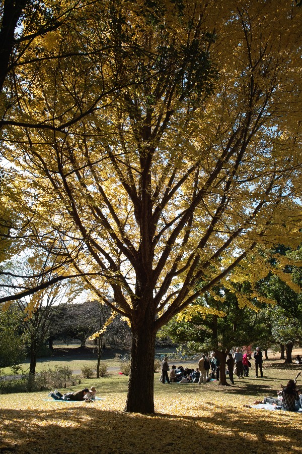 b0084270_22513499.jpg
