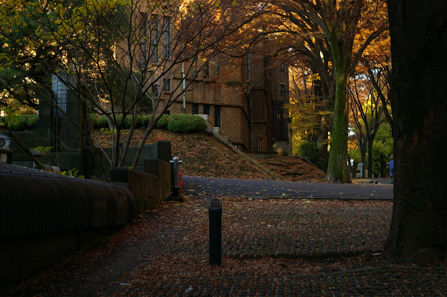 e0015377_2023370.jpg
