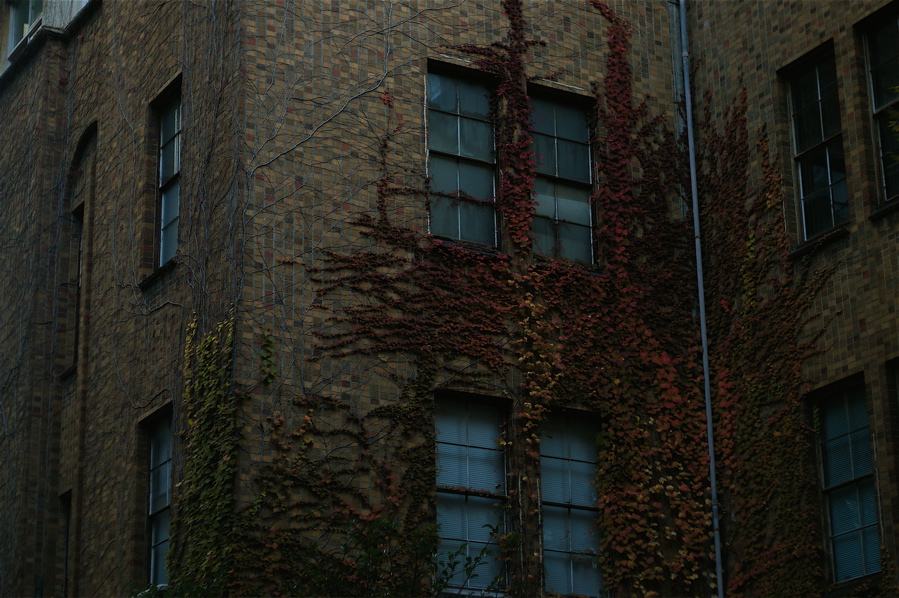 e0015377_2024511.jpg