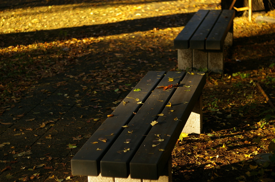 e0015377_2032022.jpg