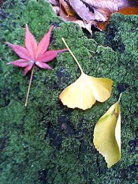 f0054677_9245790.jpg