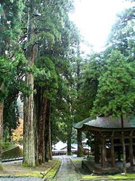 f0054677_9284133.jpg