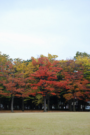 a0062983_01129100.jpg
