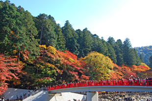 a0062983_23135487.jpg