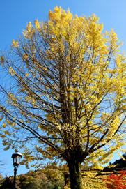 a0062983_23243614.jpg