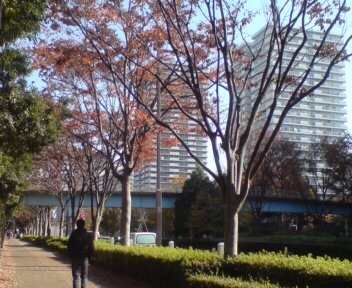 b0098183_13495625.jpg