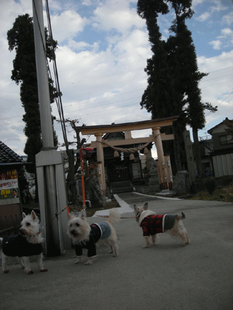 e0066883_16134264.gif
