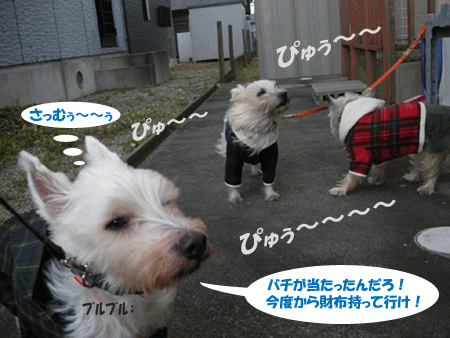 e0066883_172026.gif