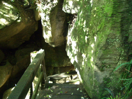 f0046489_20503895.jpg