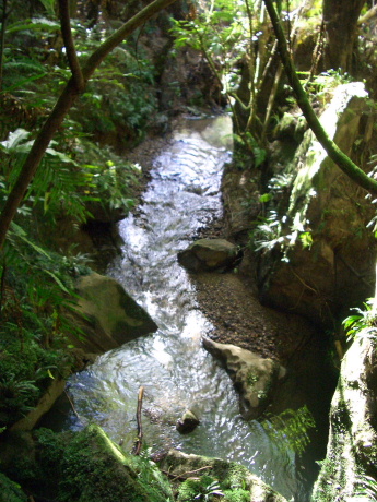 f0046489_20534625.jpg