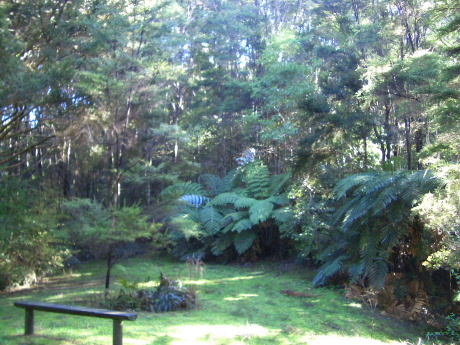 f0046489_20543890.jpg