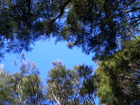 f0046489_20552665.jpg