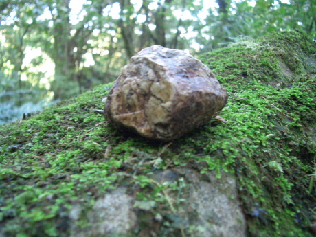 f0046489_2114712.jpg