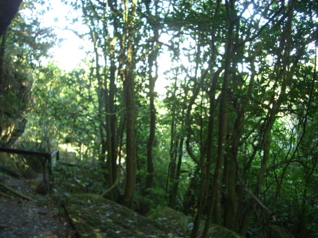 f0046489_213031.jpg