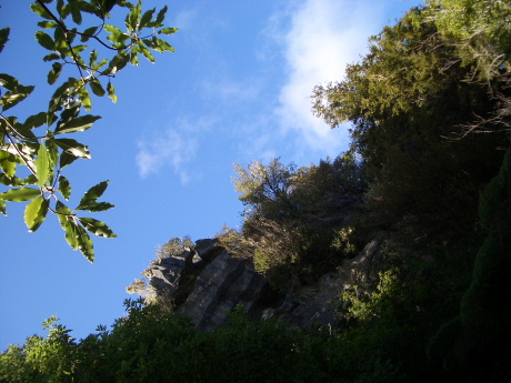 f0046489_2135922.jpg