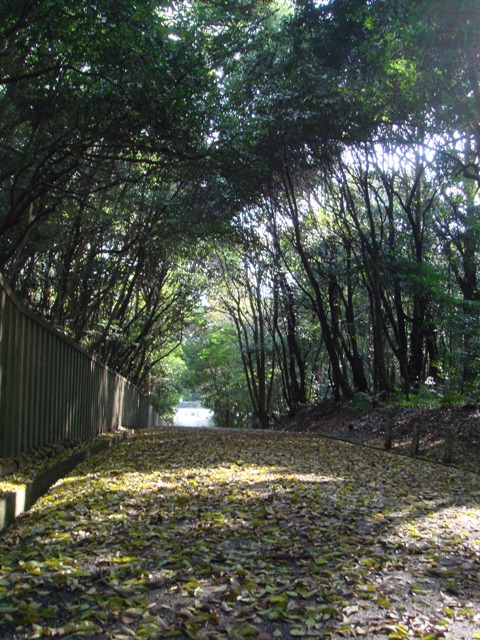 e0111793_21122955.jpg