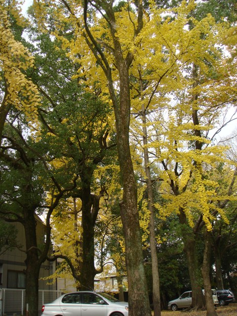 e0111793_21155028.jpg