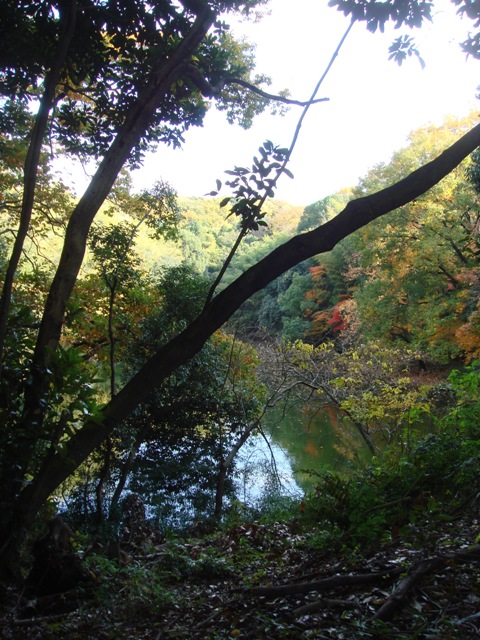 e0111793_21164413.jpg