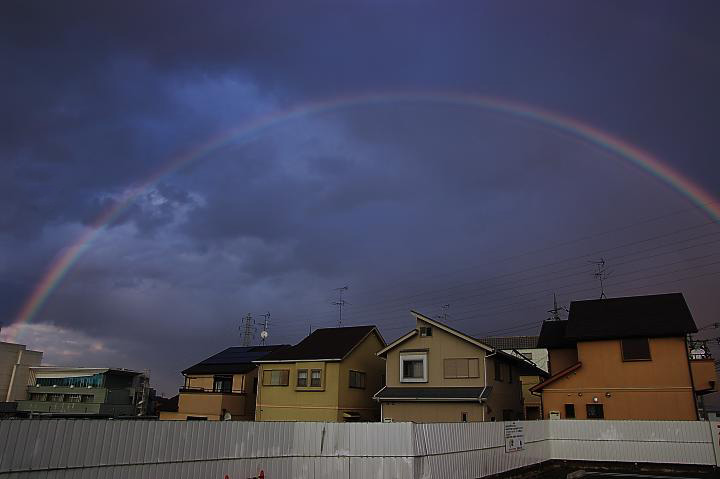 d0069495_17425724.jpg