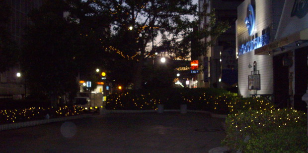 c0138198_943390.jpg
