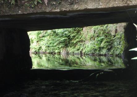 e0077899_6183963.jpg