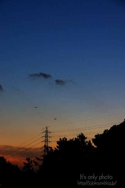 e0008800_1214684.jpg