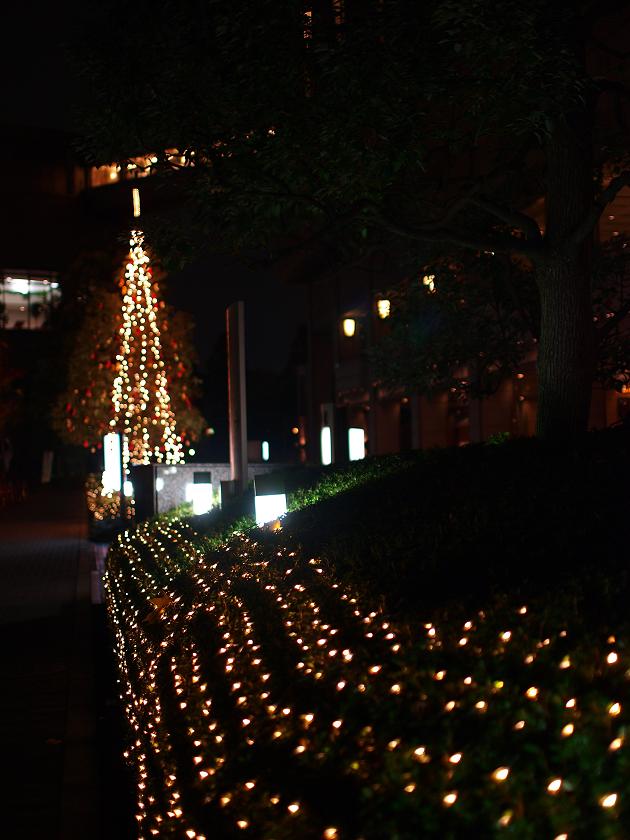 b0138101_22185976.jpg